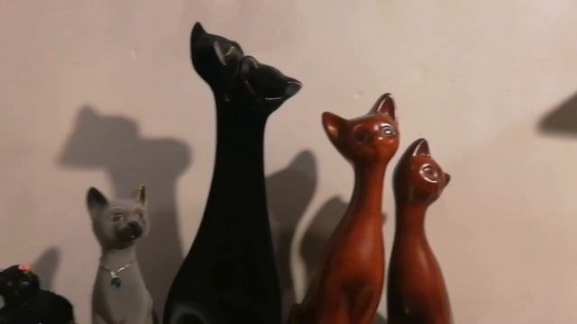 Музей кошек смотреть онлайн