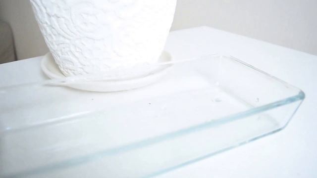 The Viking Blog| Тосты с авокадо смотреть онлайн