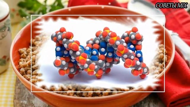 Вот Почему вы должны включить Гречку в свой рацион питания Как влияет гречневая каша на Организм смотреть онлайн