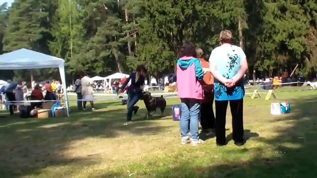 Больше статей и видео на allbestdog.ru смотреть онлайн