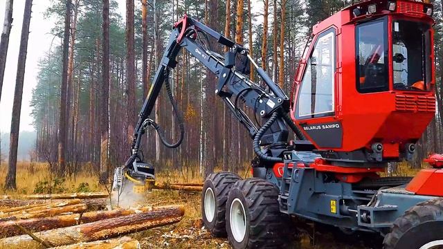 ХАРВЕСТЕР BELARUS SAMPO МЛХ-265 В РАБОТЕ смотреть онлайн