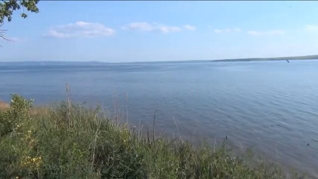 В роще пел соловушка. Даша и Тим смотреть онлайн