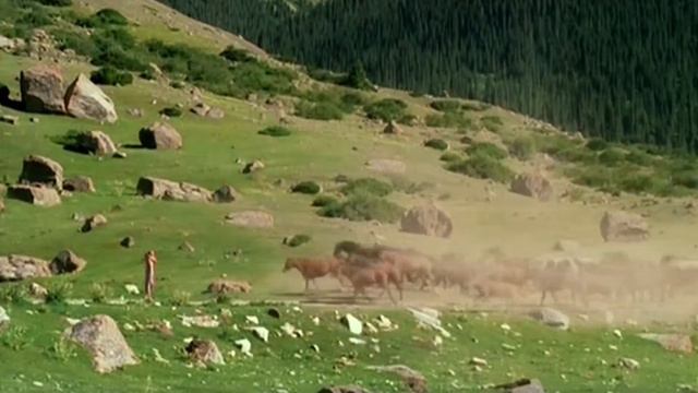 Director Nurbek Egen. Showreel смотреть онлайн