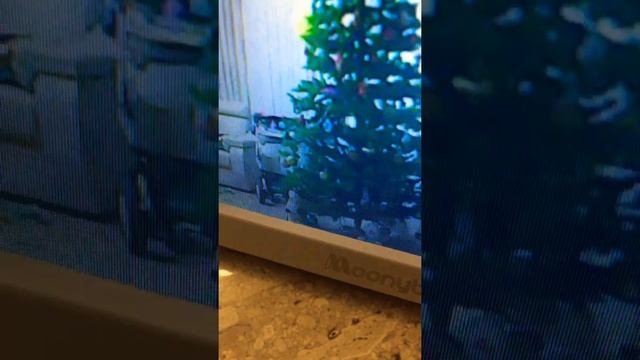 Новогоднее видео с новой камеры