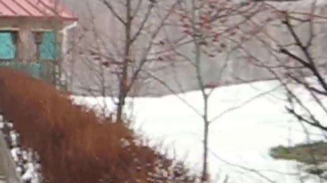 Пронино  Беседка  Коттедж