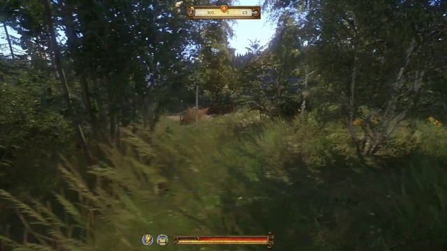 Kingdom Come: Deliverance - 37 - Страдания смотреть онлайн