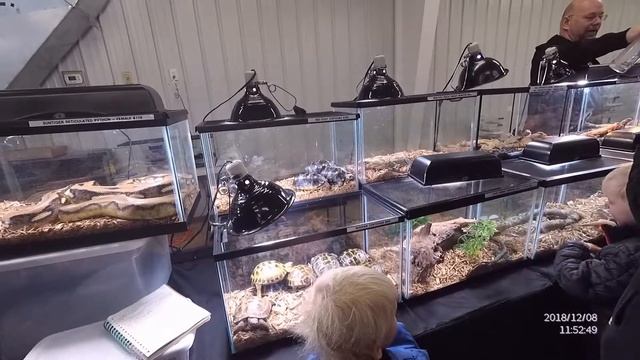 Northern Virginia Reptile Expo12 2018 смотреть онлайн