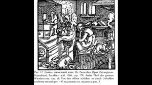 Парацельс: Болезнь и Звёзды. "Животное в человеке” и Безумие. Психиатрия Парацельса.