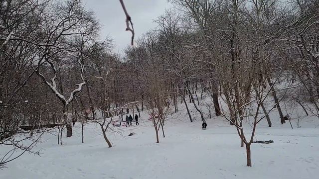 Где в Ростове покататься на горках. Лучшие горки Ростова смотреть онлайн