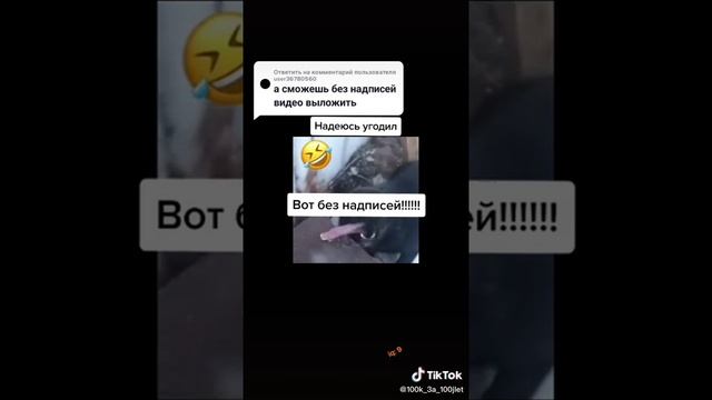 Собака прилипла языком к железки