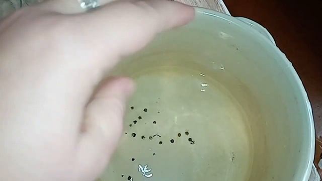 Феномены эзотерики