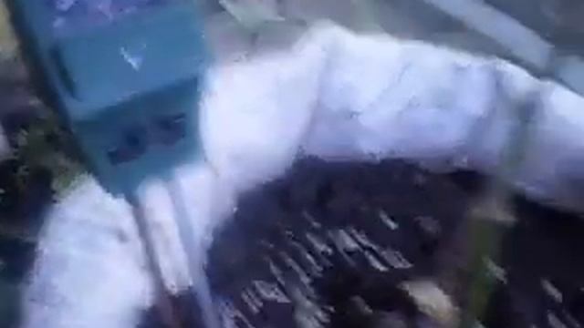 как вырастить ранние огурцы. смотреть онлайн