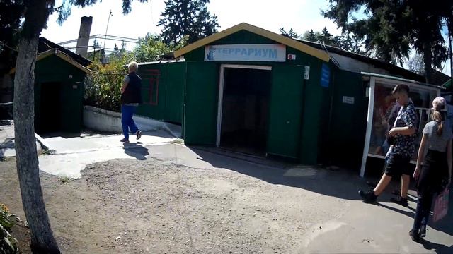 Зоопарк города Абакан часть 2 2022 смотреть онлайн