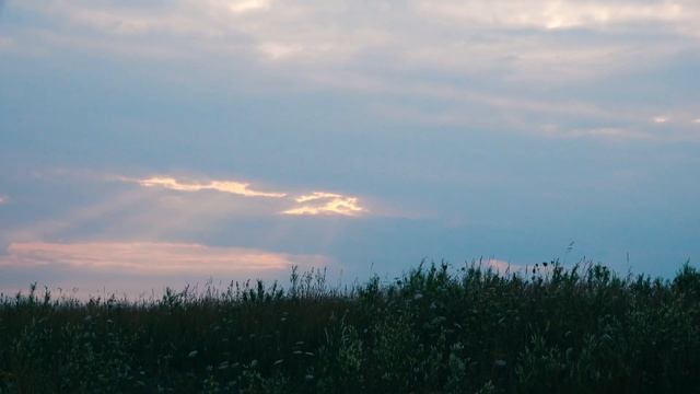 NX80 Test 4K смотреть онлайн