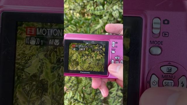Lumix DMC LS80 смотреть онлайн