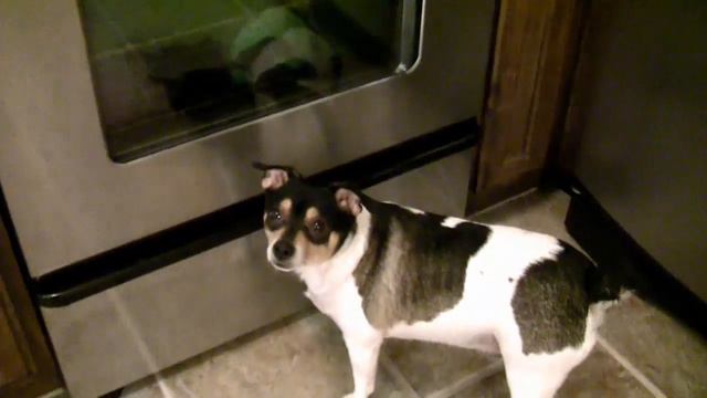 Otto Hates Thor (Part 2) смотреть онлайн