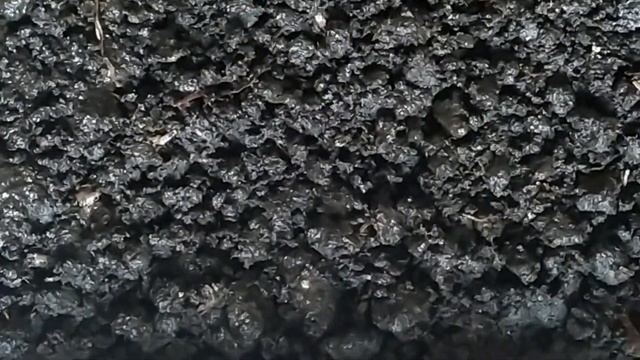 Выращиваем шампиньоны в домашних условиях Компост для шампиньонов смотреть онлайн