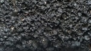 Выращиваем шампиньоны в домашних условиях Компост для шампиньонов