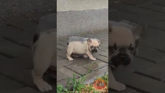 Самые сладкие булочки ❤️ Можно спросить по телефону: +7 966 357-17-17 📞 смотреть онлайн