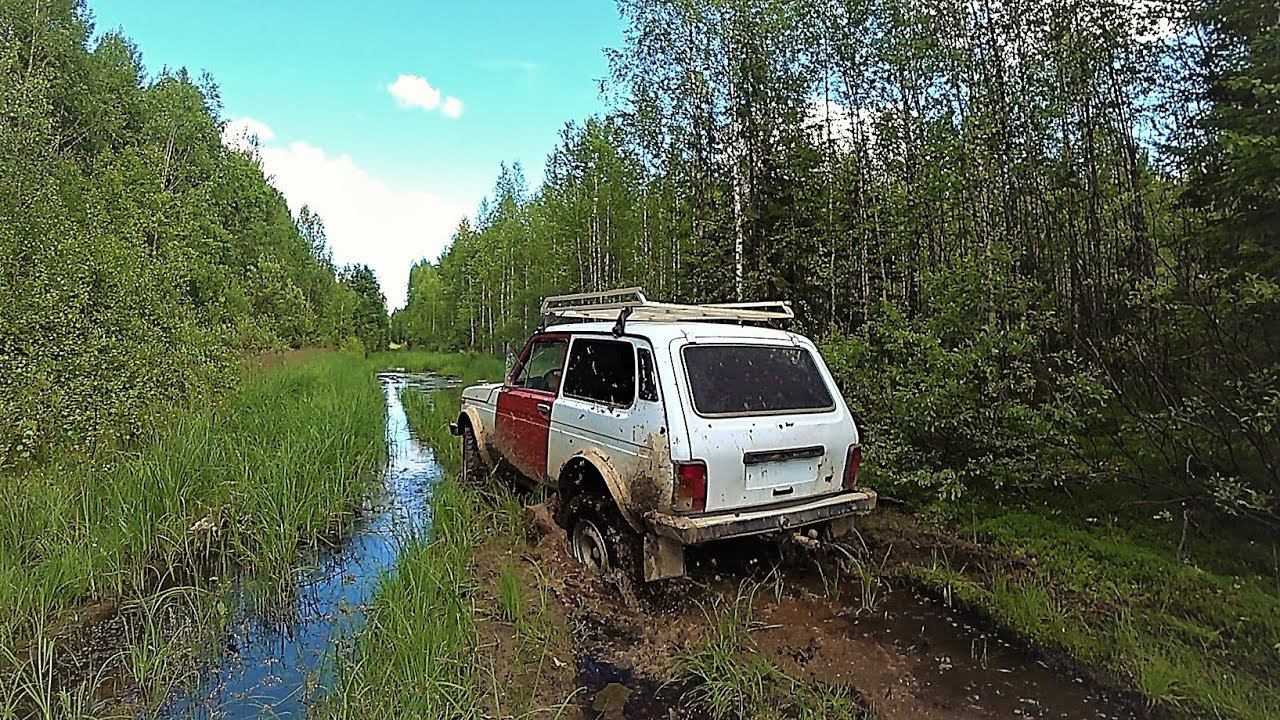 “ЖЕСТОКАЯ” ЭКСПЕДИЦИЯ! ЗИМНИК.. БОЛОТА.. ОДИН ПРОБИРАЮСЬ В ИСЧЕЗНУВШЕЮ СТАРИННУЮ ДЕРЕВНЮ! смотреть онлайн