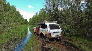 “ЖЕСТОКАЯ” ЭКСПЕДИЦИЯ! ЗИМНИК.. БОЛОТА.. ОДИН ПРОБИРАЮСЬ В ИСЧЕЗНУВШЕЮ СТАРИННУЮ ДЕРЕВНЮ!