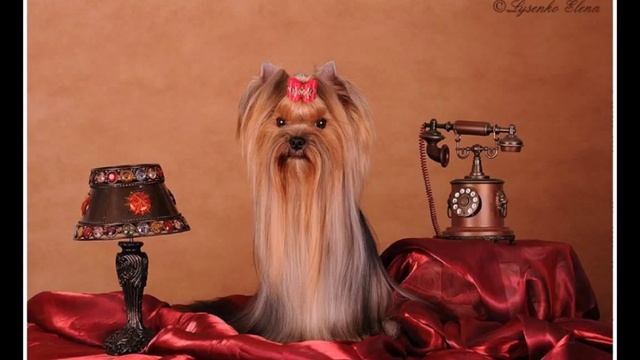 Кормление . Часть 1 смотреть онлайн