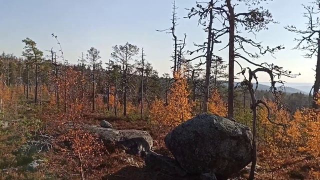 Гора Воттоваара Карелия, Vottovaara mountain race 2021 смотреть онлайн