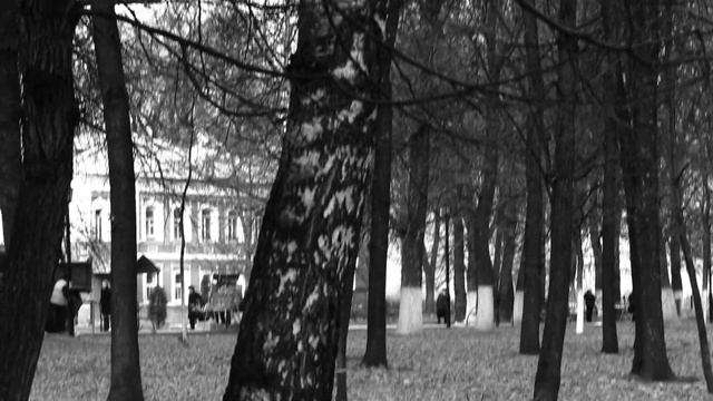Черно-белый день смотреть онлайн