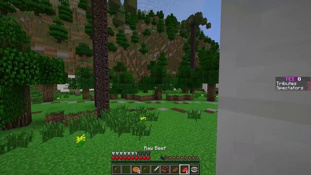 Survival Games - All on my own on The Enchanted Isle! смотреть онлайн