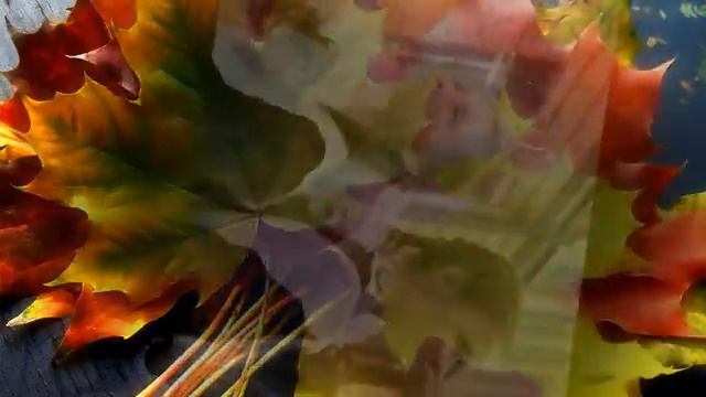 Здравствуй, школа! смотреть онлайн