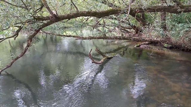 Малоярославец река Лужа смотреть онлайн