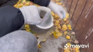 Деньги из мусора, Минск. Витёк мусорщик