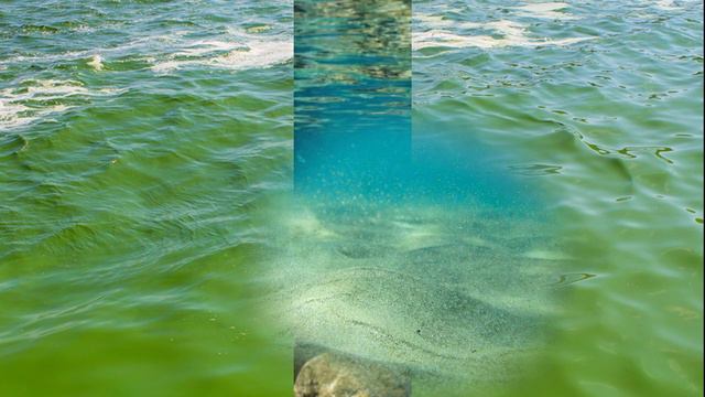 Why Does Freshwater and Saltwater do ' not mix with each other ... смотреть онлайн