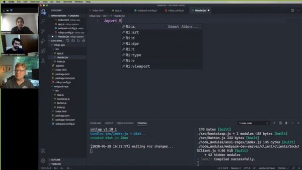 Module Federation on Rollup!