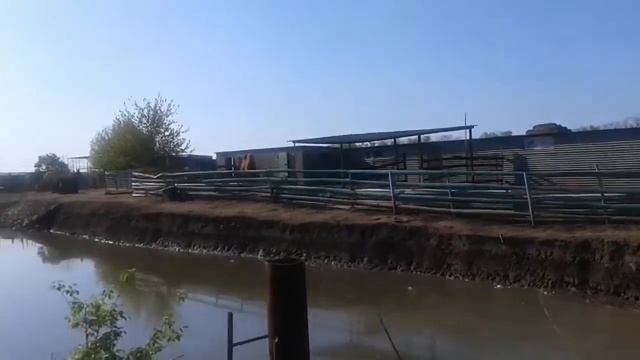 ЗООПАРК В ПРИДОРОЖНОМ/ МИЛАНА ВСТРЕТИЛА ТАМ СКАЗОЧНЫХ ГЕРОЕВ смотреть онлайн