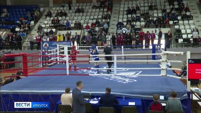 Чемпионат и первенство Сибири по тайскому боксу стартовали в Иркутске смотреть онлайн