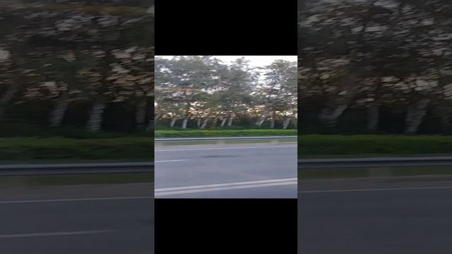 20230820_Башкортостан. Водитель 350 автобуса смотреть онлайн