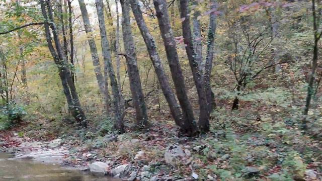 Пшада - Новосадовый смотреть онлайн