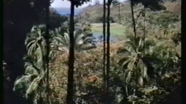 JERRY BUTLER Works Out in Loincloth 1984 The Pink Lagoon