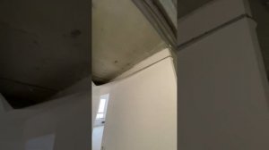 Демонтаж стен, натяжных потолков, ламината, сантехкабины. Ремонт от Пик