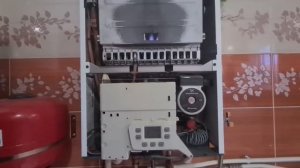 baxi eco four 24 проблемы с ГВС