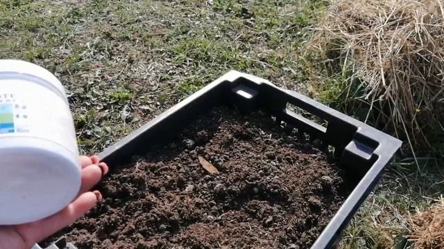 Посадка Рассады Клубники З.К.С С Осмокотом // Клубника Без Химозы смотреть онлайн