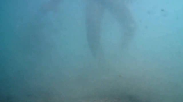 VLOG:Иссык-Куль_Купаемся смотреть онлайн