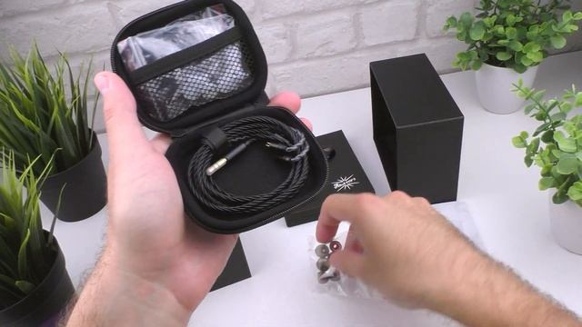 Kiwi Ears Quartet обзор наушников – Напористо и басисто!