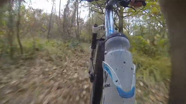 VTT Forest session Lapierre Technik 200 смотреть онлайн