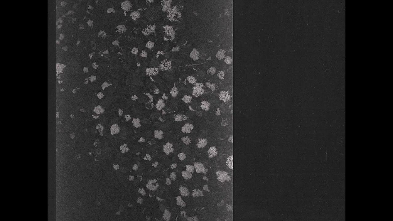 Motorama — Poverty (Альбом)