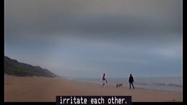 Life Is Shit And Then You Die смотреть онлайн