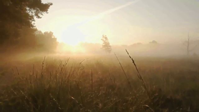 А ЗАРЯ, ЗАРЯ клип4 смотреть онлайн