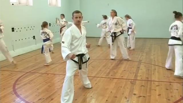 Уроки тхэквондо с Дмитрием Яковлевым! (1 урок) смотреть онлайн