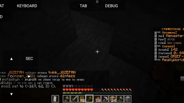 как заприватить дом в PojavLauncher